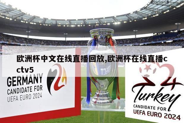 欧洲杯中文在线直播回放,欧洲杯在线直播cctv5
